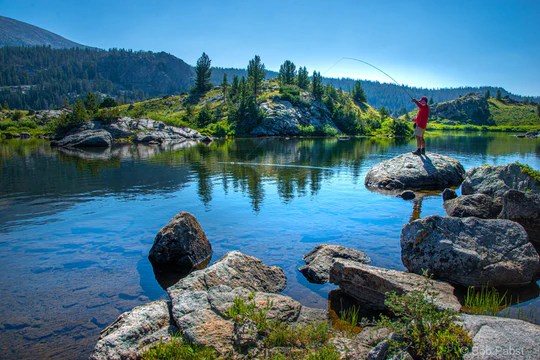 Gear Up for Every Horizon